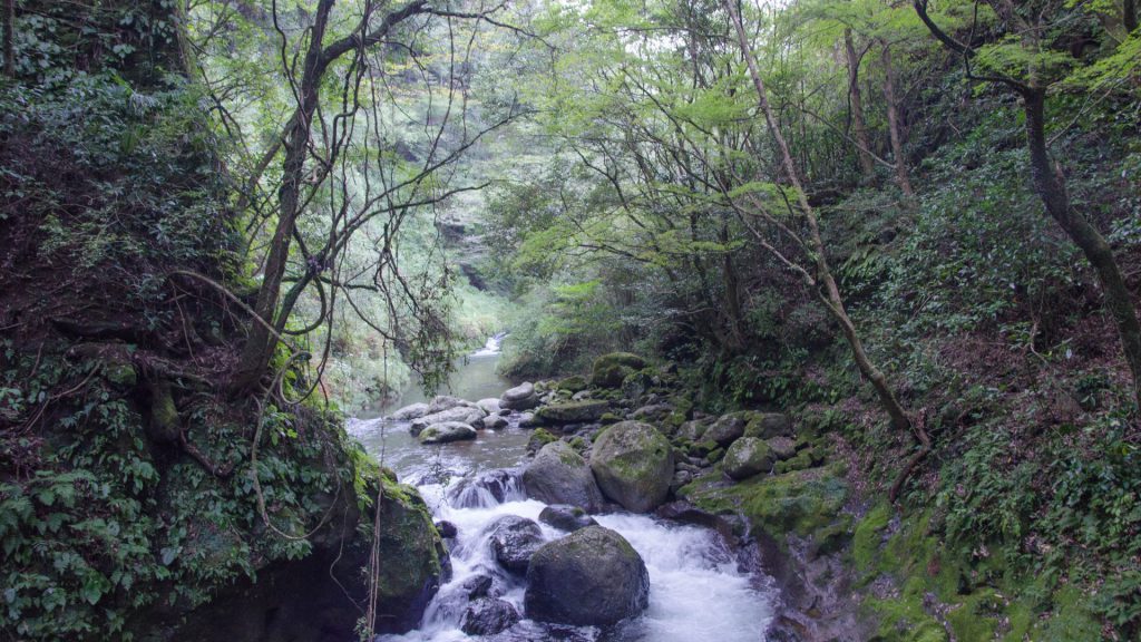 Schlucht in Takachiho Japan