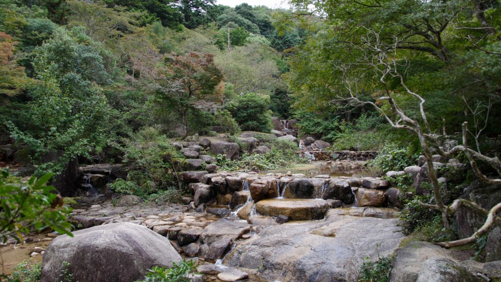 Strahlende Natur in Miyajima Japan