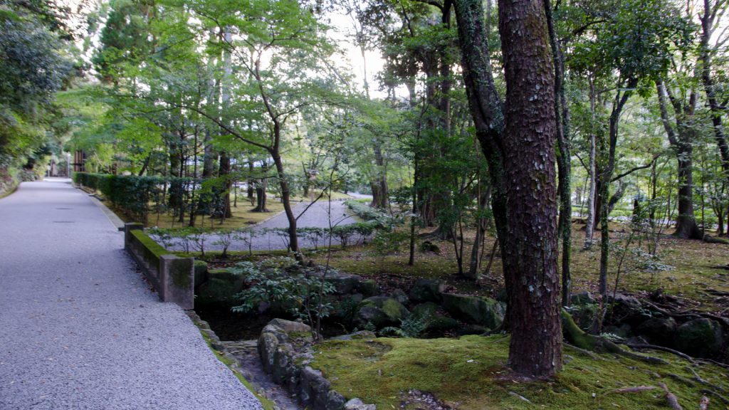 Wald in Ise in Japan