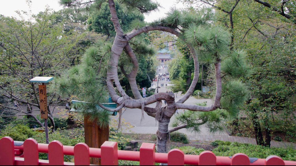 Ausblick vom Ueno-Schrein